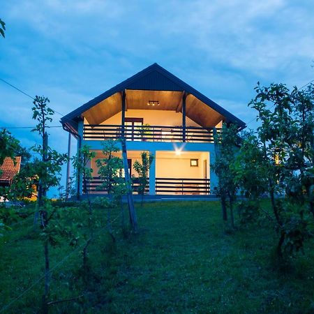 Holiday Home Dandelion With Hot Tub & Sauna Cetingrad Ngoại thất bức ảnh