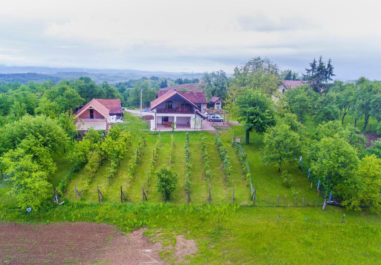 Holiday Home Dandelion With Hot Tub & Sauna Cetingrad Ngoại thất bức ảnh